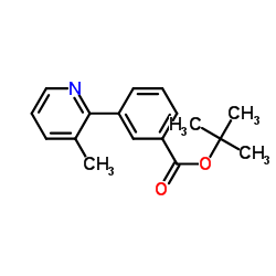 tert-부틸 3-(3-메틸피리딘-2-일)벤조에이트