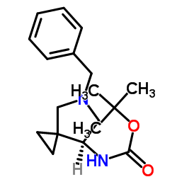 Tert-부틸 N-[(7S)-5-벤질-5-아자스피로[2.4]헵탄-7-일]카바메이트