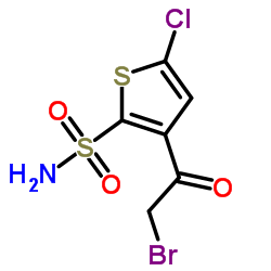 3-(2-브로모아세틸)-5-클로로-2-티오펜술폰아미드