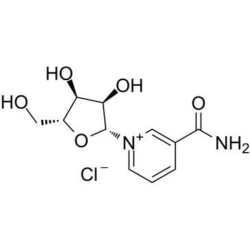 니코틴아미드 리보사이드 클로라이드 NR-CL