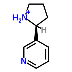 3-(2-피롤리디닐)피리딘