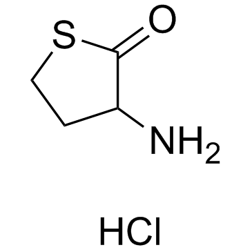 DL-호모시스테인티오락톤 hcl