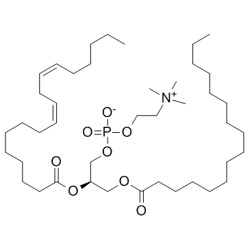 포스파티딜콜린(1+)