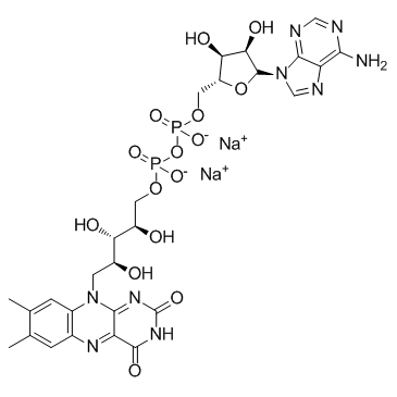 Flavin Adenine Dinucleotide 이나트륨 염 수화물