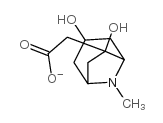 3,6-디히드록시-8-메틸-8-아자비시클로[3.2.1]옥탄-6-아세테이트