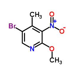 5- 브로 모 -2- 메 톡시 -4- 메틸 -3- 니트로 피리딘