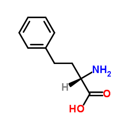 L- 호모 페닐알라닌