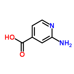 2- 아미노 이소 니코틴산