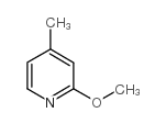  2- 메 톡시 -4- 메틸 피리딘