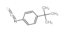 4-tert-Butylphenyl isothiocyanate CAS:19241-24-8