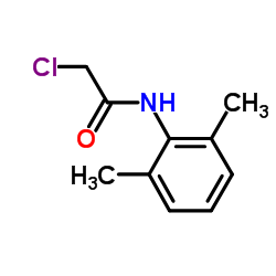 N- (2,6- 디메틸 페닐) 클로로 아세트 아미드