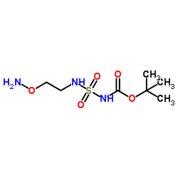 N-[[[2- (아미노 옥시) 에틸] 아미노] 술 포닐] 카르 밤산 1,1- 디메틸 에틸 에스테르
