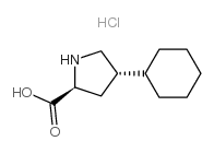 트랜스 -4- 사이클로 헥실 -L- 프롤린 하이드로 클로라이드