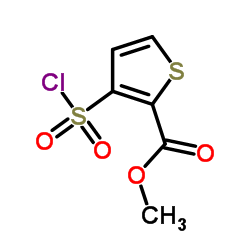 메틸 3- 클로로 설포 닐티 오펜 -2- 카르 복실 레이트