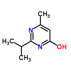 6- 메틸 -2- 프로판 -2- 일 -1H- 피리 미딘 -4- 온