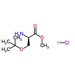 O-tert- 부틸 -L- 세린 메틸 에스테르 히드로 클로라이드