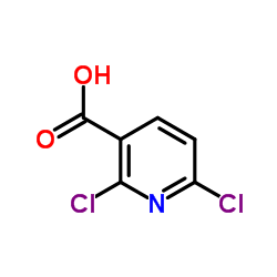 2,6- 디클로로 니코틴산