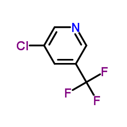 3- 클로로 -5- (트리 플루오로 메틸) 피리딘