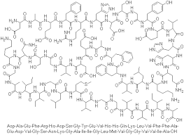 아밀로이드 β- 펩티드 (1-42) (인간)